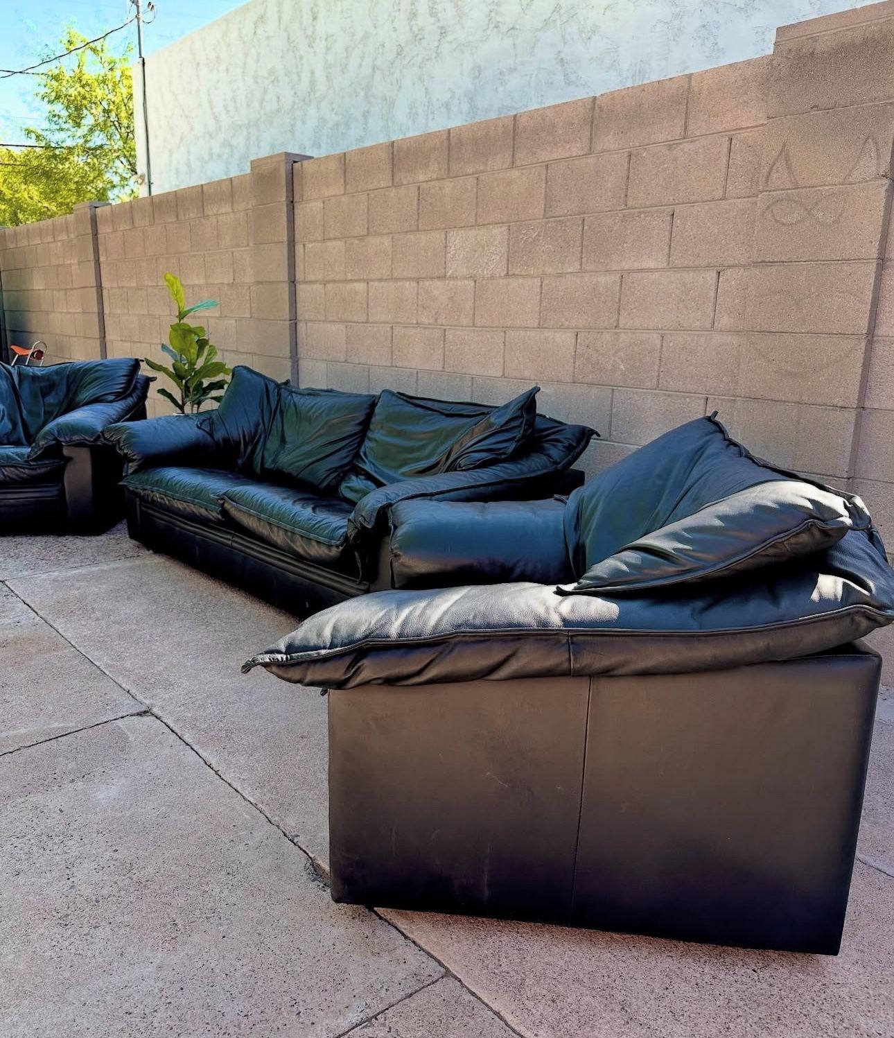 Leather couches