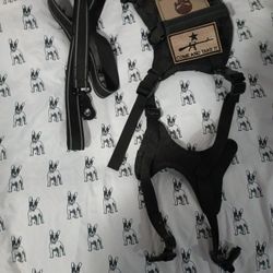 CAT HARNESS AND LEASH 