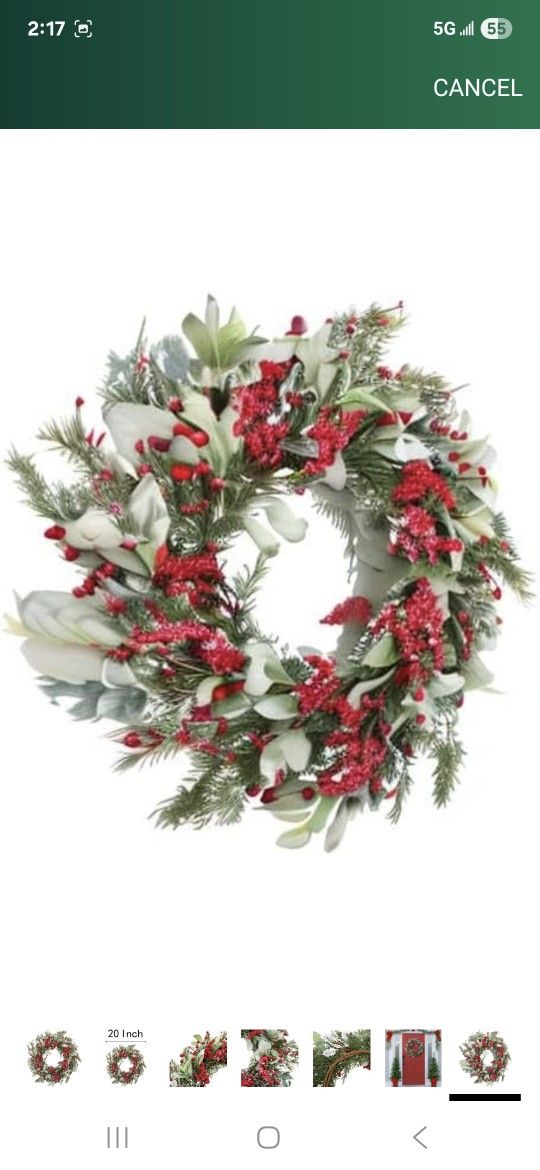 20 Inch Artificial Christmas Wreath with Lambs Ear Leaves, Artificial Snow and Red Berries, Pine Needles for Home Wall Window Decor
