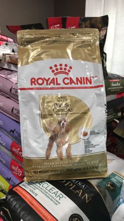 Royal Canin Adult Poodle Dry Dog Food 10lb