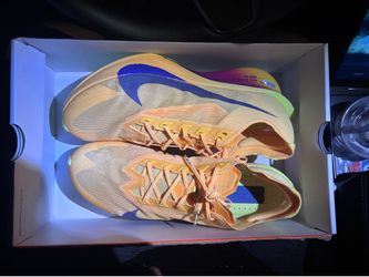 NIKE ZoomX Vaporfly  4 $270 RETAIL SZ 13