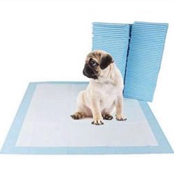 Dog pads $8 Each package With 30 pads