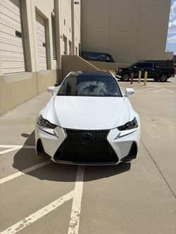 Vinyl Car Wraps