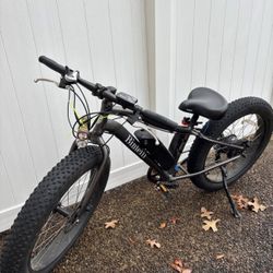 Electric Bike 