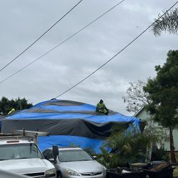 Ez Termites Tent 