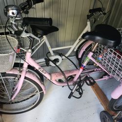 Two Bikes ( 3 Wheeler) - PICK UP ONLY!