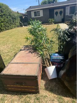 Free items