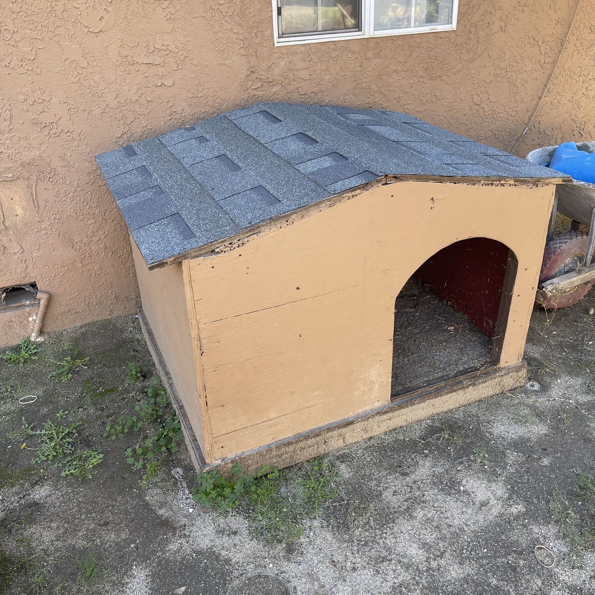 Dog House