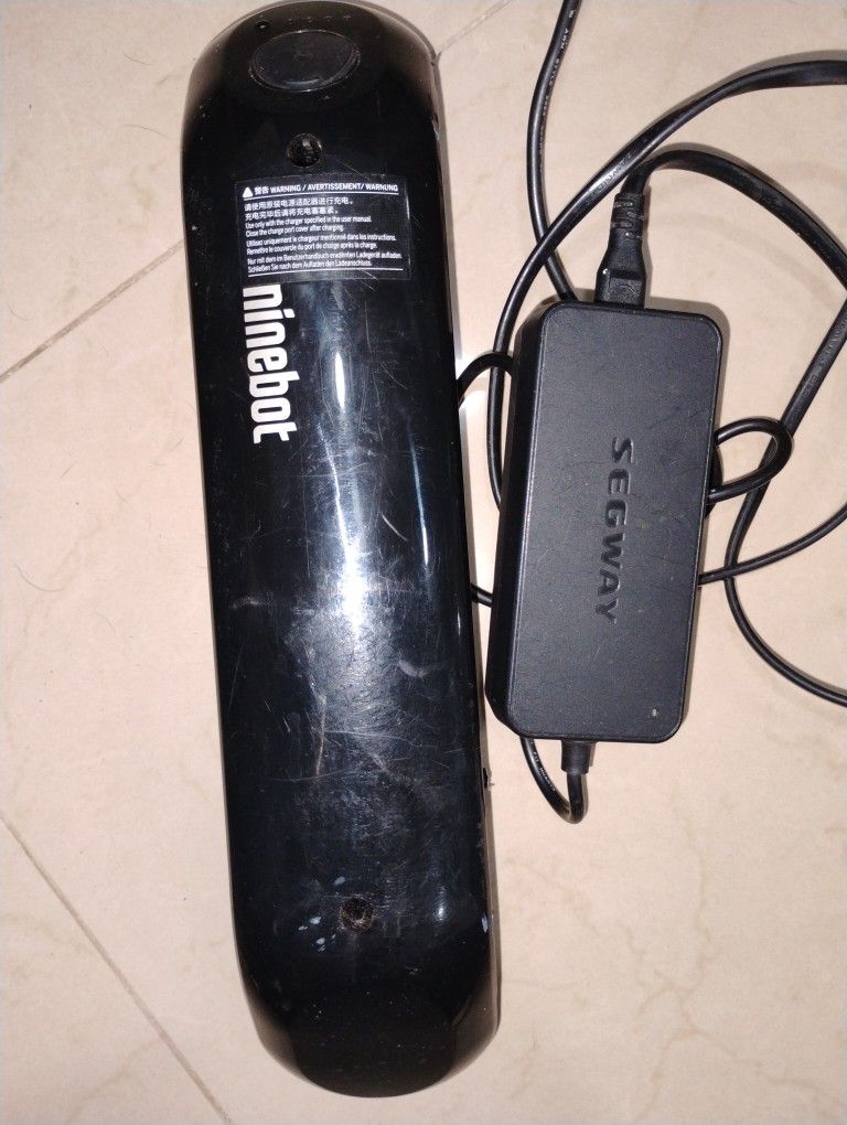 Ninebot  Battery And Charger 