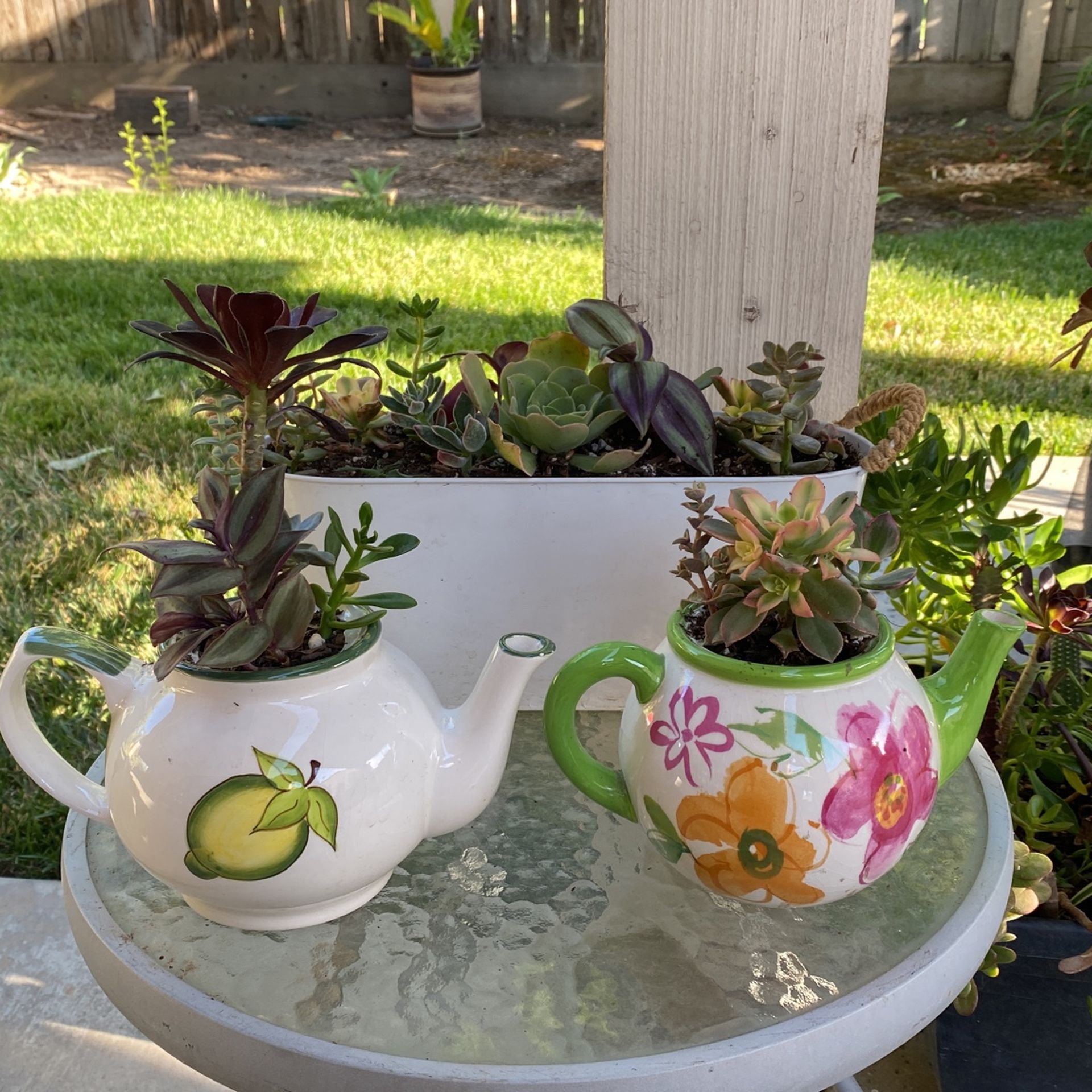 Succulent Teapots