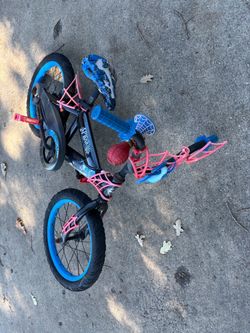 16” spider bike