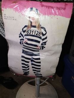 JAILHOUSE HONEY ADULT  COSTUME
