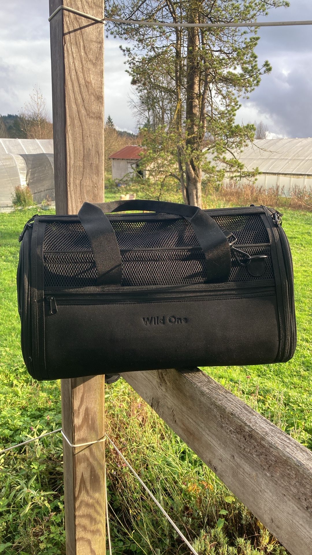 Wild One Dog Carrier - Black