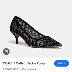 Beautiful Women’s Shoe 