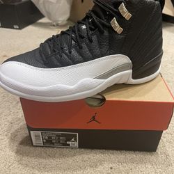 Jordan 12s Nike