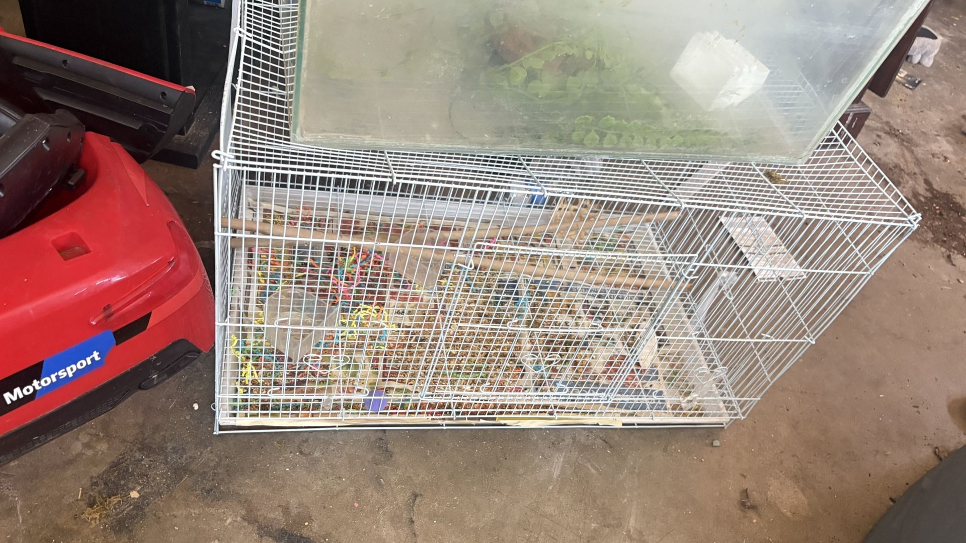 Bird Cages