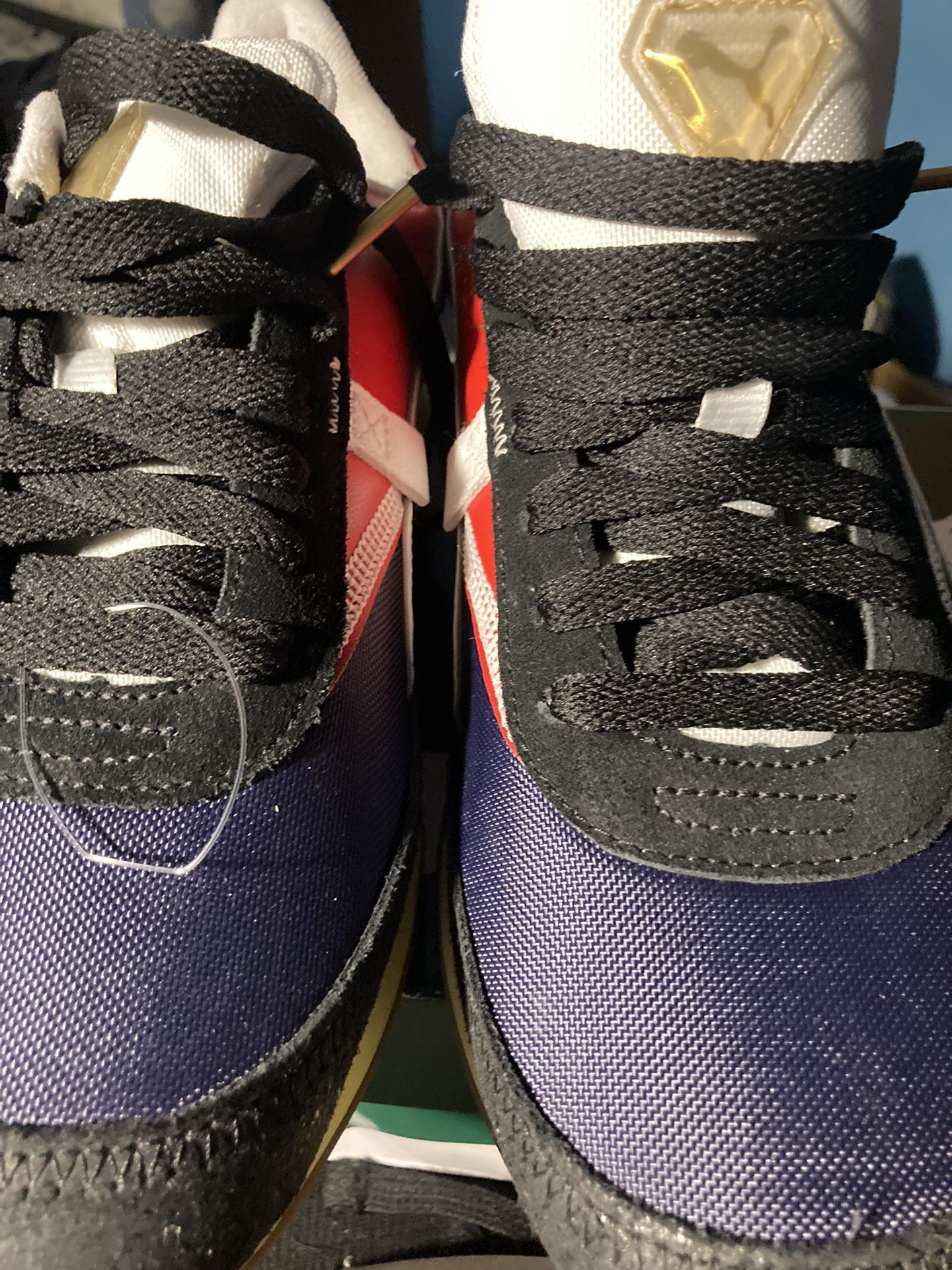Pumas