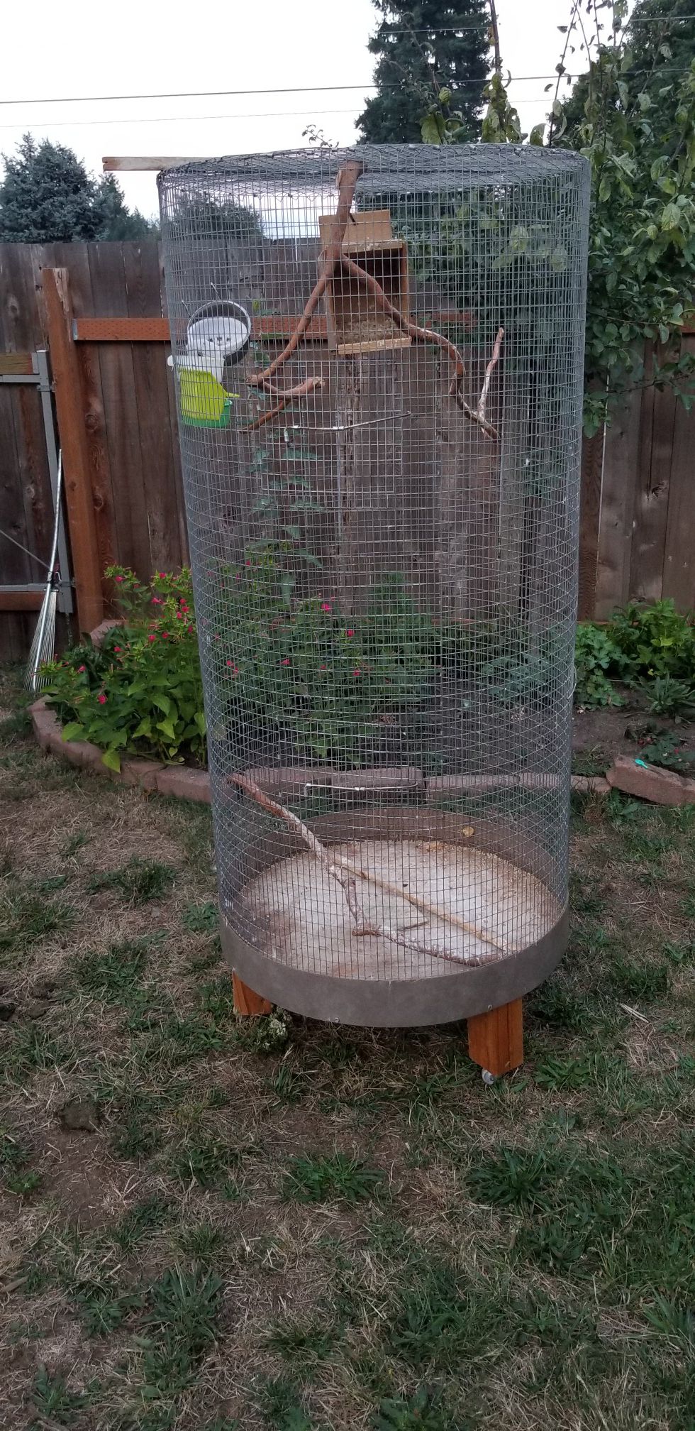 Large bird cage, 30 inches wide and 69 inches tall