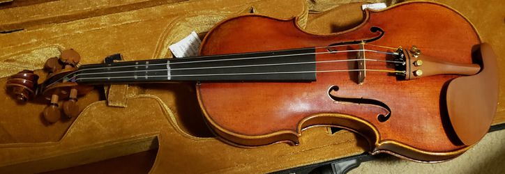 DZ Strad V201 Violin