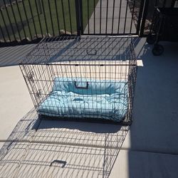 Dog Crate