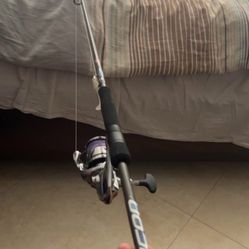 Cashion ICON Medium Heavy Rod