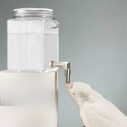  Transparent Bird Water Bottle – Parrot Cage Water Feeder 520 mL (≈17.6 fl oz)