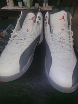 Jordan 12 Grey And White