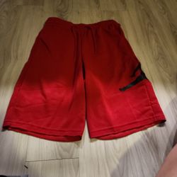Jordan Fleece Shorts