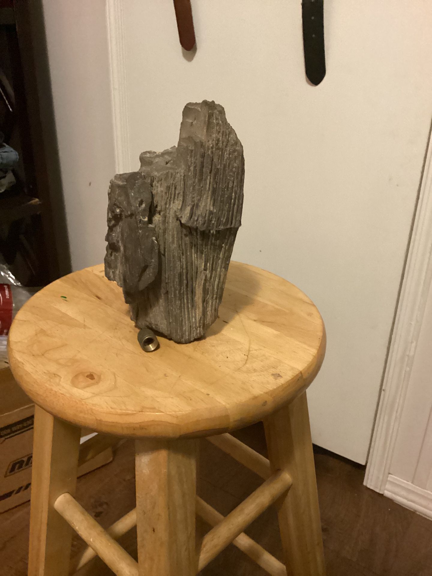 Petrified Wood