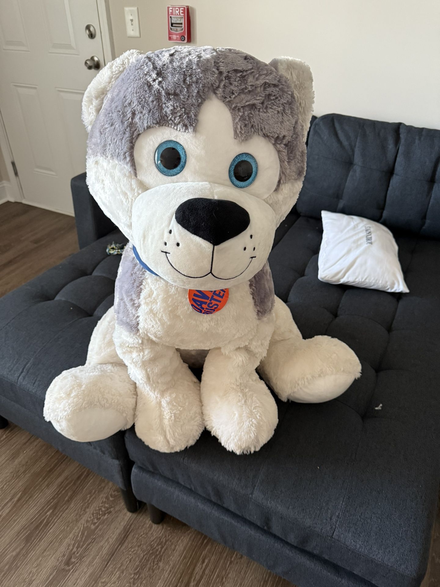 Teddy Bear
