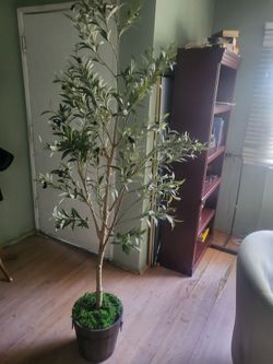 Decoration