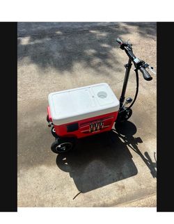 Cooler scooter
