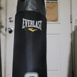 100lbs punching 👊 bag 