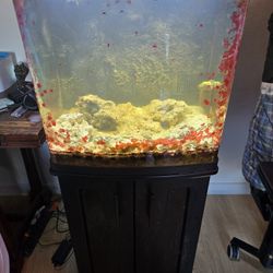 34 Gallon Bio Cube Saltwater Fishtank With Stand