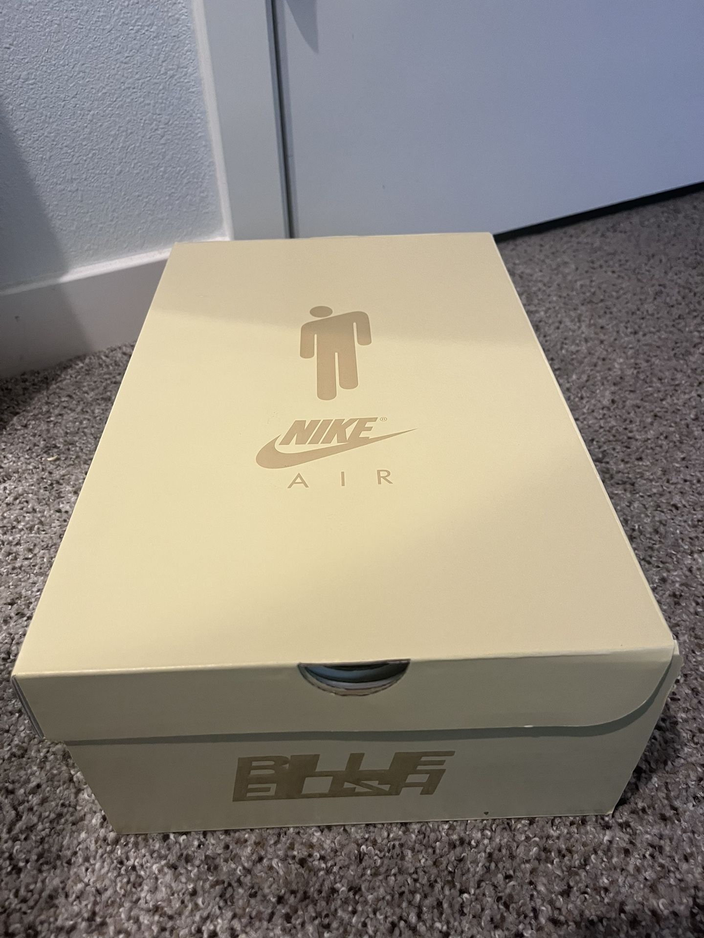 Nike x Billie Eilish Air Force One 9.5