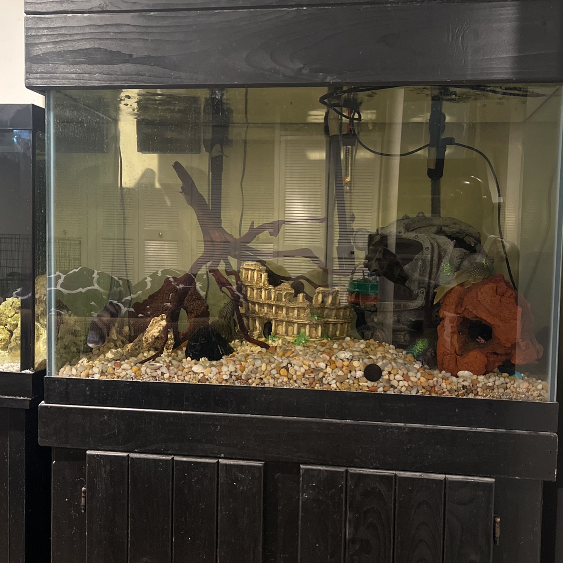 Aquarium With Canopy And Stand 