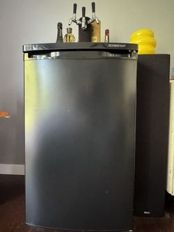 Open To Trade Edgestar 3 Tap Kegerator
