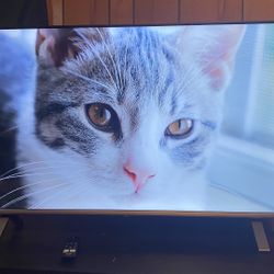 4k LED Amazon Fire TV (smart) 43”