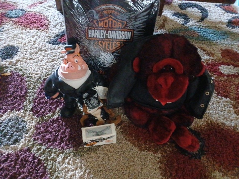 Harley Davidson Things