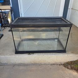 10 gallon Reptile Terrarium!