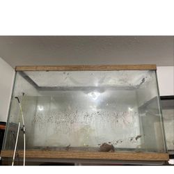 40 Gallon Fish Tank