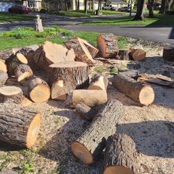 Free Firewood 