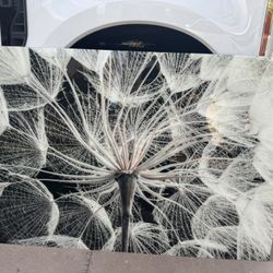 Large Scale, Macro Photographic Print