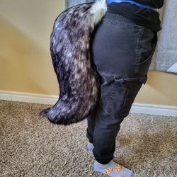 Dog Tail