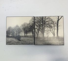 Tree Wall Art  - Set Of 2 