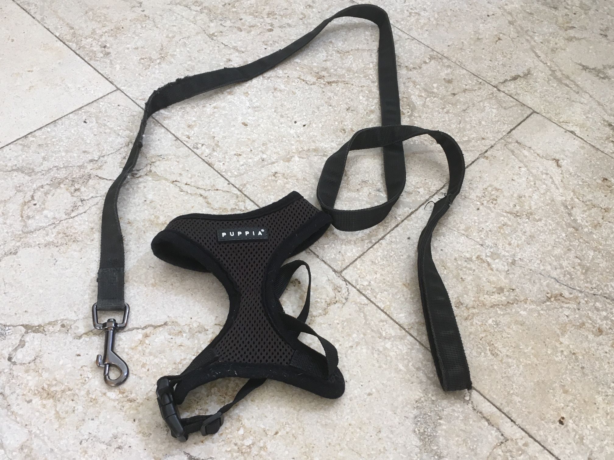 Puppia dog harness and leash set
