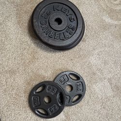 Weights/dumbells 