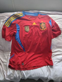 2010 campeones del mundo españa