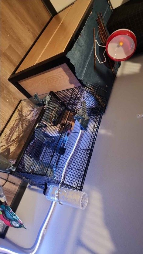 Rat/small Animal Cage