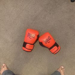 Everlast Boxing Gloves